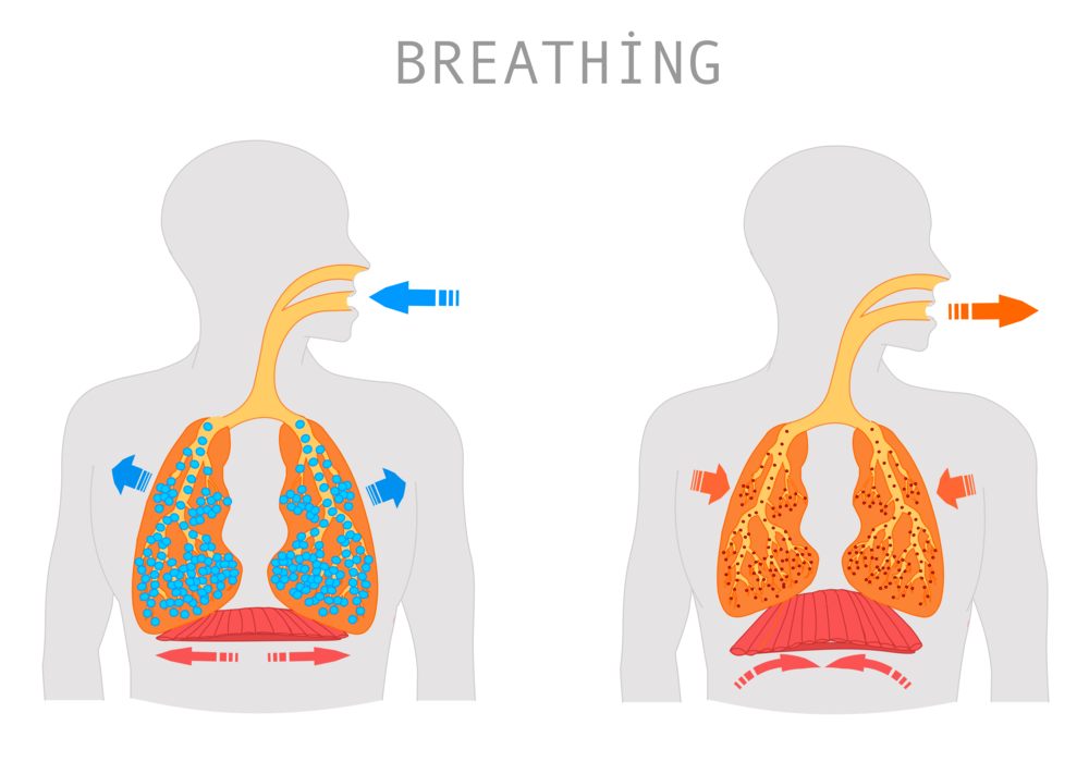 Одышка и почему тяжело дышать